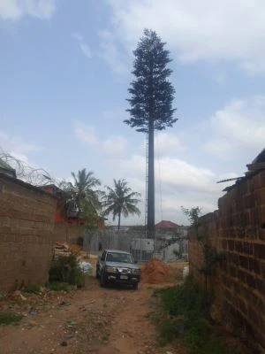 Bionic Pine Tree Antenna minorasi